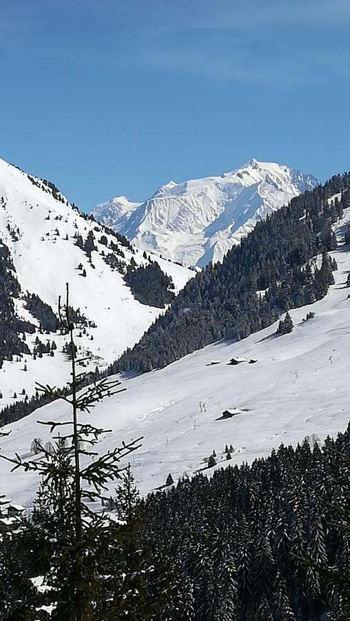 Chambre D'Hotes "Le Moulin" Thônes Dış mekan fotoğraf